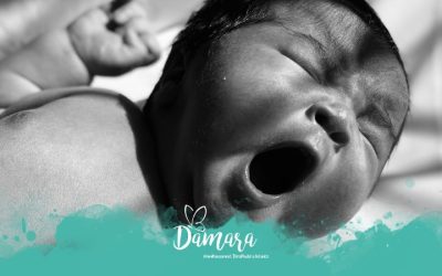 L’inici de la vida