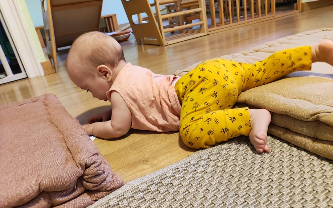 ESPAI DE JOC I OBSERVACIÓ AMB NADONS